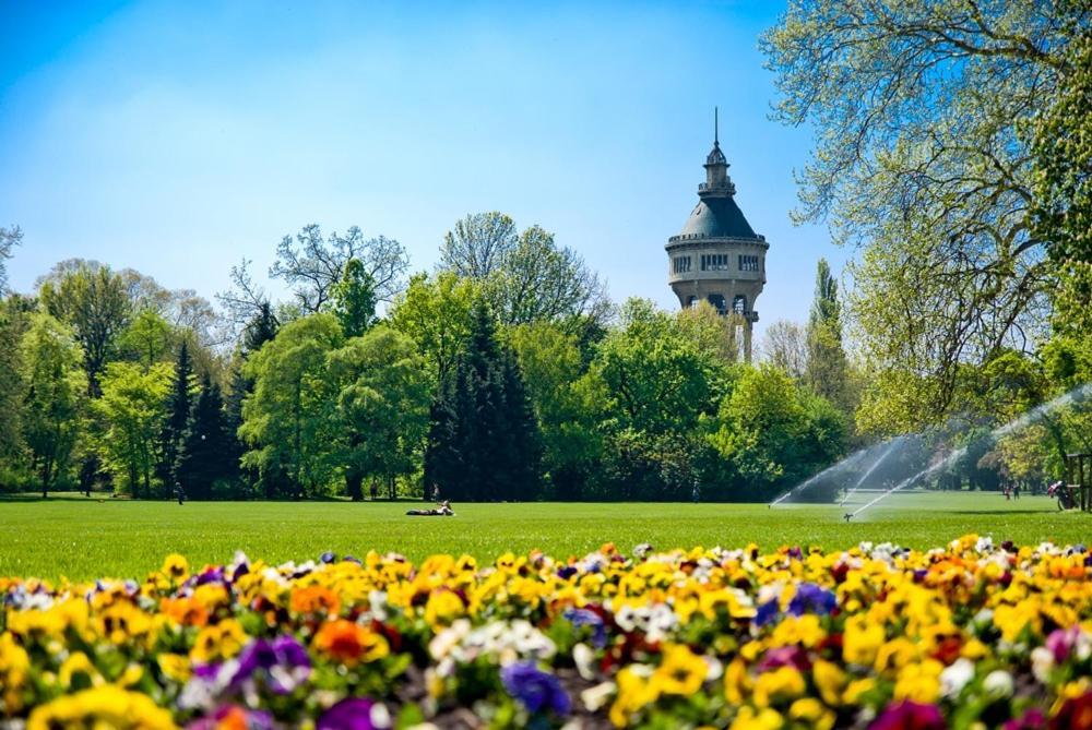 Island (adults Only) Ostello Budapest